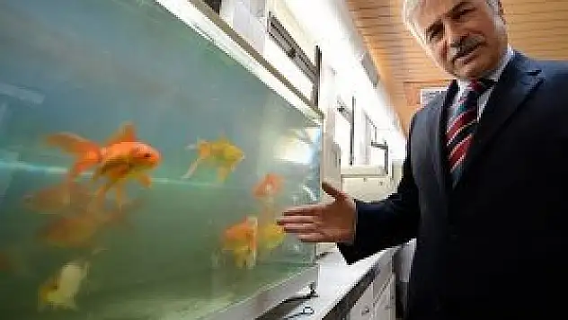 Bursa'nın içme suyu 'Japonlara'' emanet