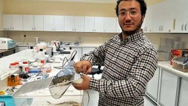 Türk doktorlardan yüz felci tedavisinde önemli adım