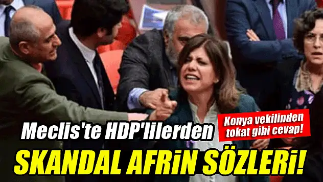 Meclis'te HDP'lilerden skandal Afrin sözleri!