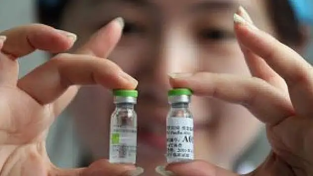 Çin'de kuş gribine karşı korunma tedbirleri