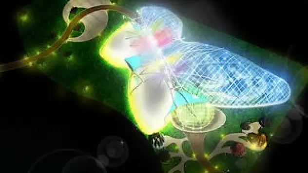 Kelebekler Vadisi'nde sona gelindi