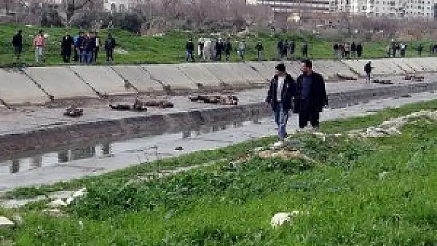 Katliam fotoğrafları UCM'ye götürülecek