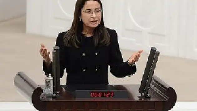 'Çocuk gelinler masumane' demedim