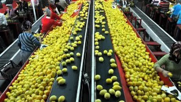 Tarımsal ihracat yüzde 11 arttı