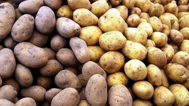 Patates depodan çıktı fiyatı düştü