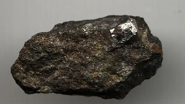 Akıllı telefonlarda kullanılıyor, 95 bin dolardan satılıyor