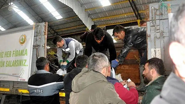 Seydişehir'de 9 bin fidan dağıtıldı