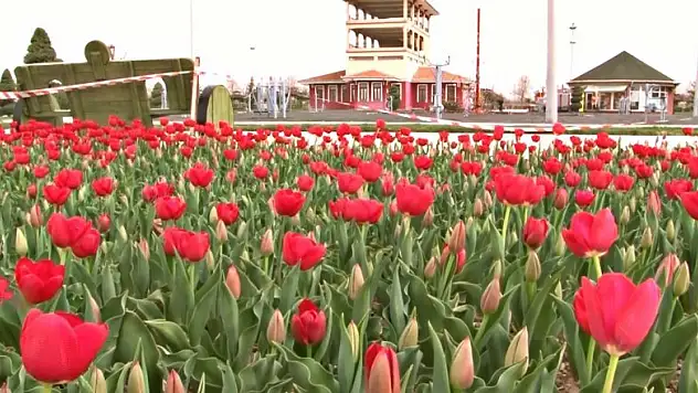 Karatay'ın parkları ilk baharı lalelerle karşıladı