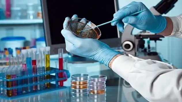 Milli olarak yapılacak Türkiye 150 kişinin peşinde