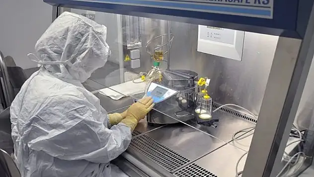 Bakan açıkladı! Türkiye Nuh'un gemisini kuruyor