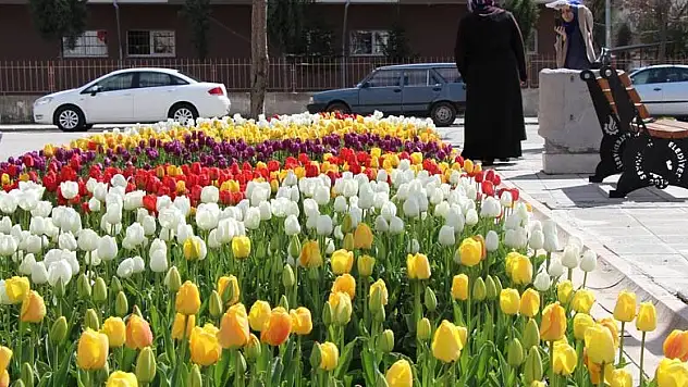 Seydişehir baharın müjdesi lalelerle rengarenk