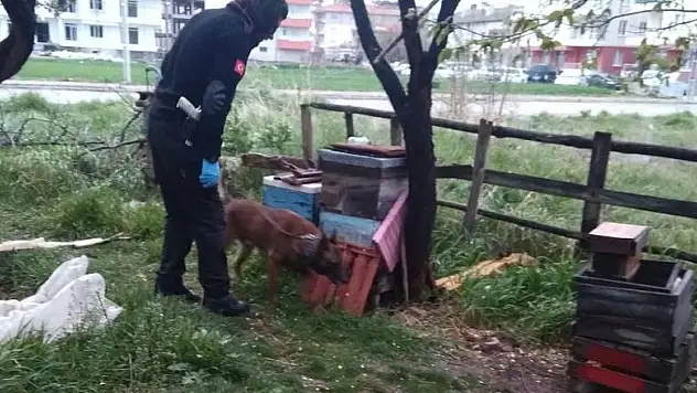 Beyşehir'de uyuşturucu operasyonu