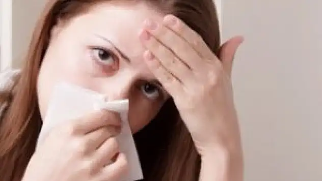 Domuz gribi 24 kişiyi öldürdü