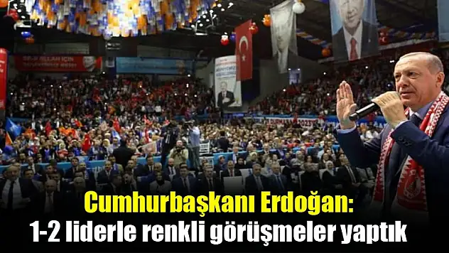 Erdoğan: 1-2 liderle renkli görüşmeler yaptık