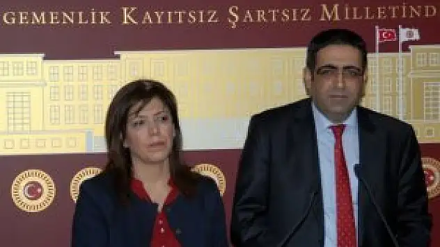 BDP demokratikleşme önerilerini açıkladı