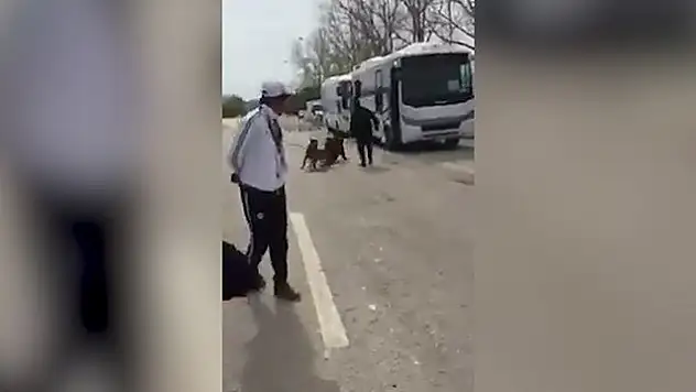 Konyaspor, soruşturma başlatılmasını istiyor