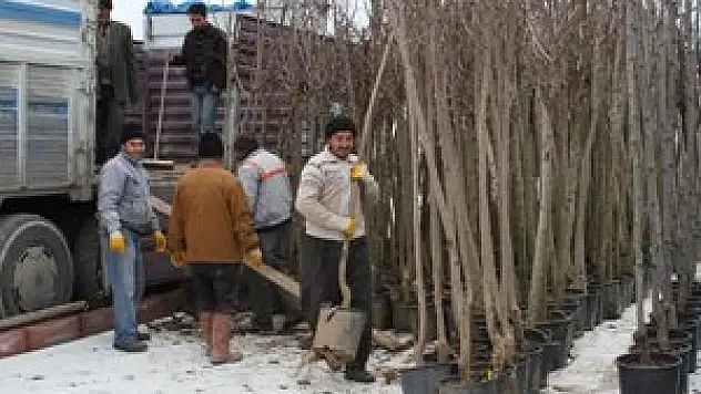 'Gelecek nesillere en önemli miras yeşil bir doğa'
