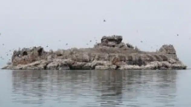 Beyşehir Gölü Milli Parkı'nda 153 kuş türü yaşıyor