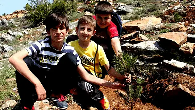 Seydişehir'de fidan dikimi