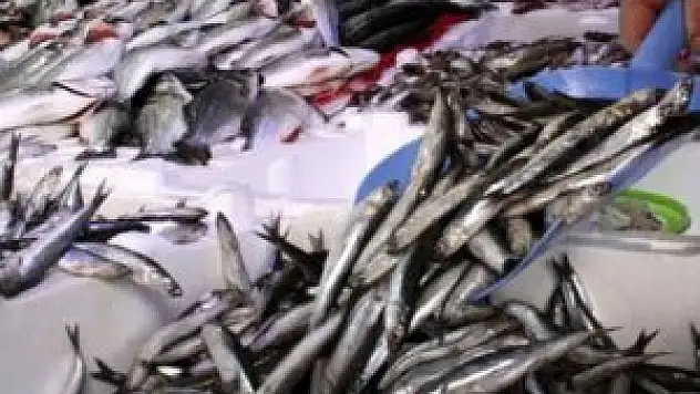 Balık fiyatları artık cep yakmayacak