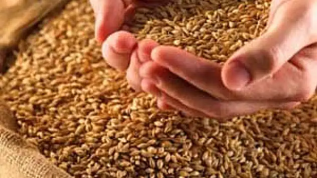 Konya'da hububat fiyatları - 12.02.2014