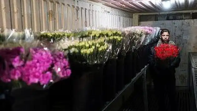 Filistin'in barış elçileri karanfiller