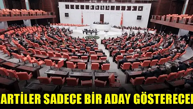 Partiler sadece bir aday gösterecek