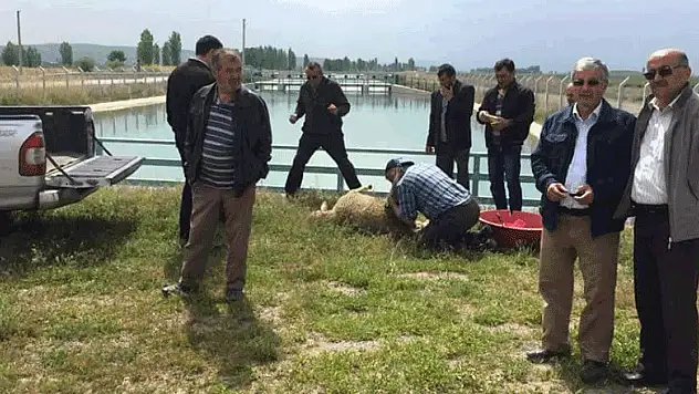 Seydişehir'de 'sulama sezonu' açıldı