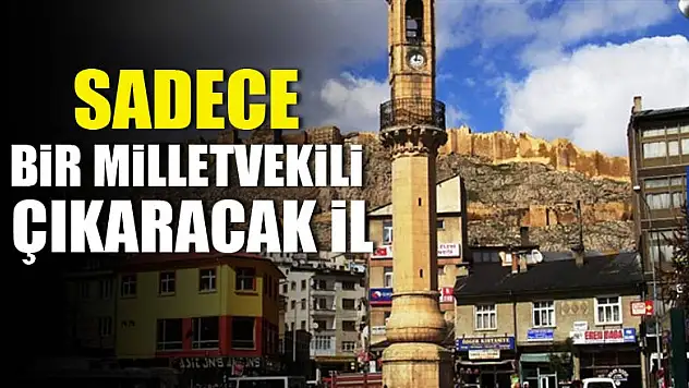 Bir milletvekili çıkaracak tek il