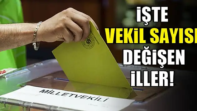 İşte vekil sayısı değişen iller