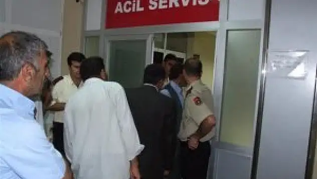 Çobanların köpek kavgası: 2 ölü, 1 yaralı