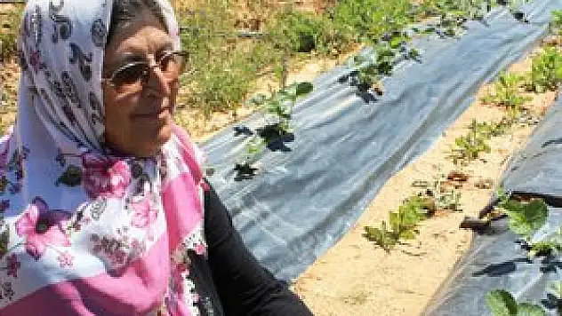 Hüyük'te organik tarım çiftçiye umut oldu