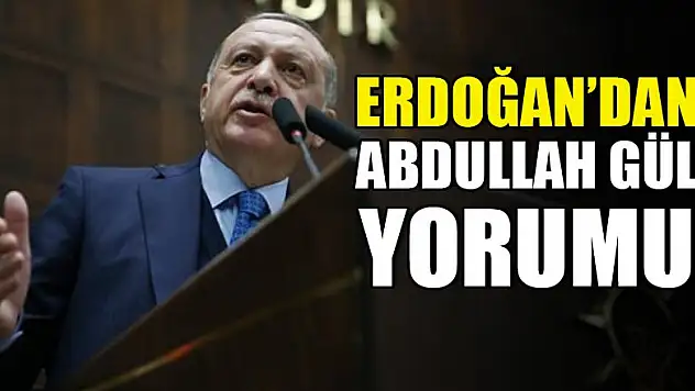 Cumhurbaşkanı Erdoğan'dan Abdullah Gül yorumu!