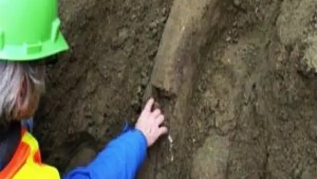 10 bin yıllık diş bulundu