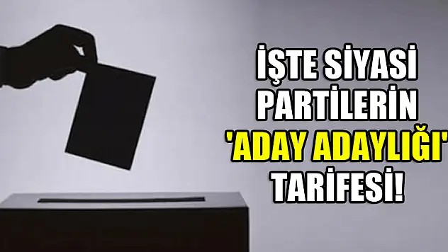 İşte siyasi partilerin 'aday adaylığı' tarifesi!