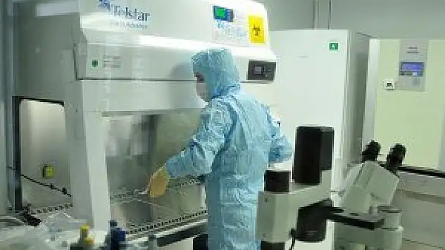 Genler kanserli hücreleri yenmek için kodlanacak