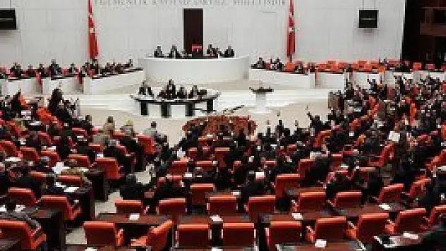 İlk madde kabul edildi