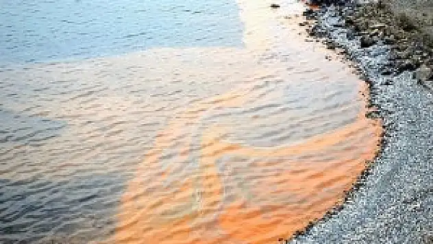 Karadeniz'deki kızıl tabakanın sebebi anlaşıldı