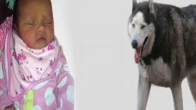 6 günlük bebeğin feci ölümü!