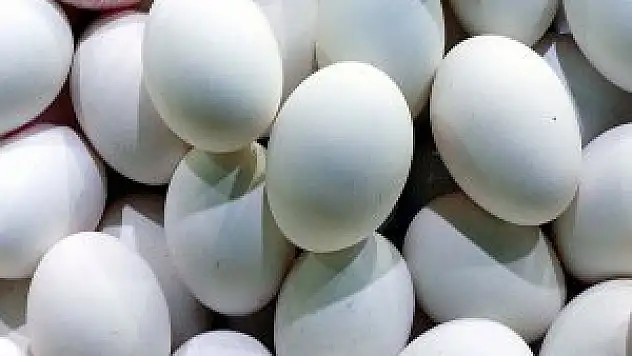Saniyede 523 yumurta 'kırdık'