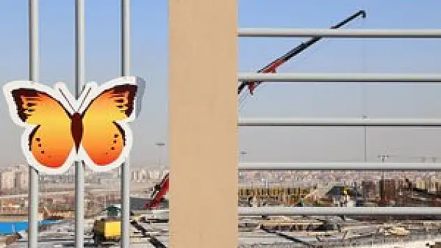 Kelebekler, hoşgörü kentinde aşk için kanat çırpacak