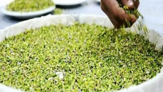 Tarihinin en yüksek seviyesine çıktı