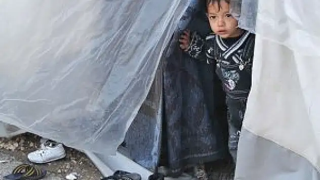 Savaşın 'Türkiyeli' bebekleri