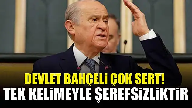Devlet Bahçeli: Tek kelimeyle şerefsizliktir
