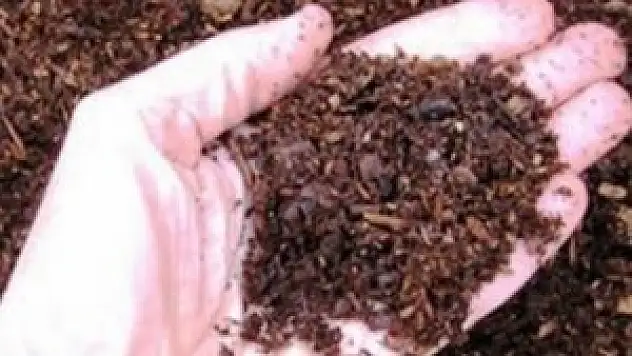 Çiftçilere 'sahte gübre' uyarısı