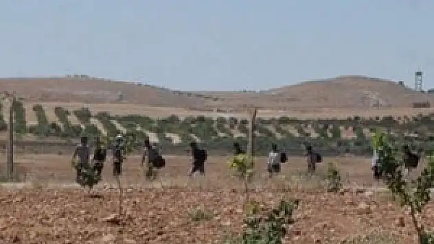 Sırtında torunuyla 7 saat yürüyerek savaştan kaçtı