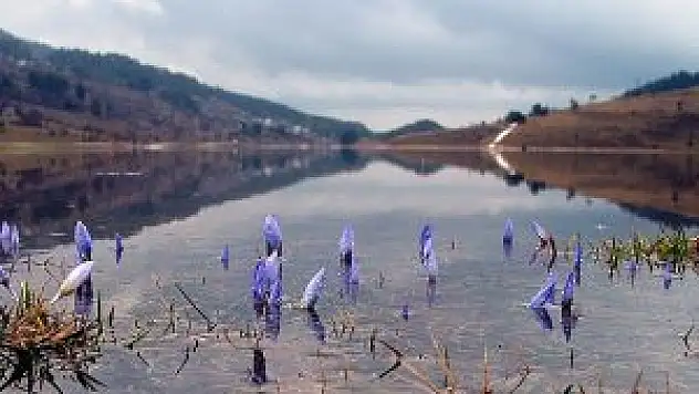İkinci cemre suya düştü