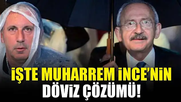 Muharrem İnce'den döviz çözümü