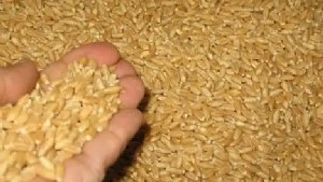 Konya Ticaret Borsası - 28.02.2013