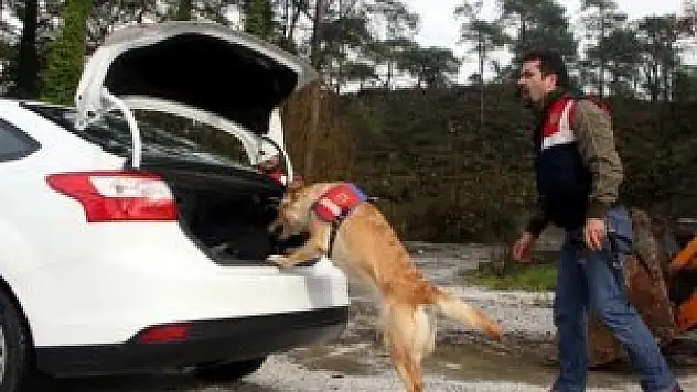 'Süper burunlar' suçlulara geçit vermiyor